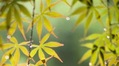 县人社局：提升“四力”构建劳动维权新格局