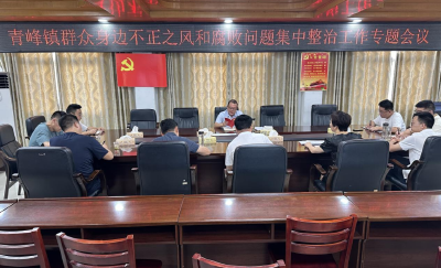 王超到青峰镇调研重点工作开展情况