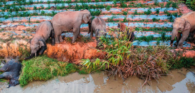 镜观·回响｜云南旅居热 文旅业态兴