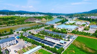 三个五！藏着湖北民营经济的发展密码