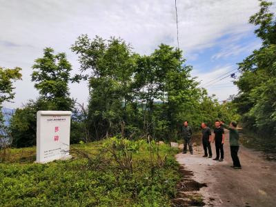 房县野保局：“四个到位”筑牢森林资源防护“安全墙”