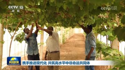 心相近｜从布拉柴维尔寄往玉树的开学一封信