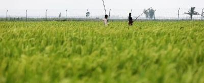 学习手记｜从“适配度”看科学精准的发展思维