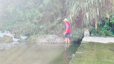 大木厂镇：守河流之争 护绿水长清