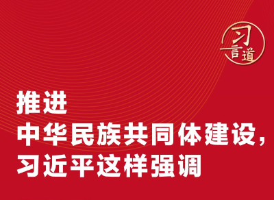习言道｜推进中华民族共同体建设，习近平这样强调