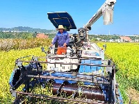 房县：水稻奏响丰收曲 机械收割节本增效