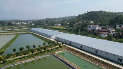 军店镇军马村：共同缔造美丽花园