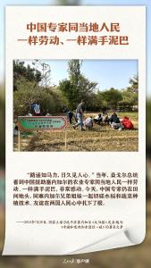 习近平讲述过的11个中非友好故事