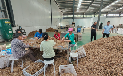 首单即纳税3.3万元！房县上龛乡优化营商环境助力“规上企业”高质量发展   