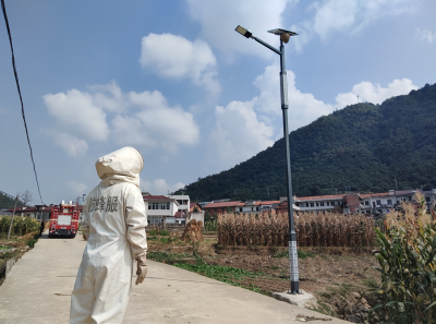 青峰镇：密切配合消隐患  除蜂灭害保平安