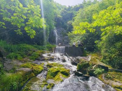 光影下的鱼鳃口村