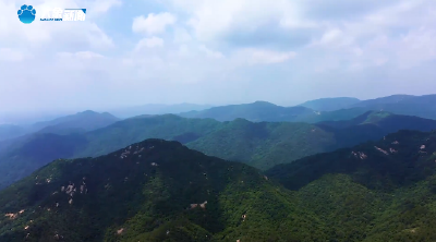 清澈的爱 只为中国 ｜回响
