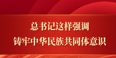 总书记这样强调铸牢中华民族共同体意识