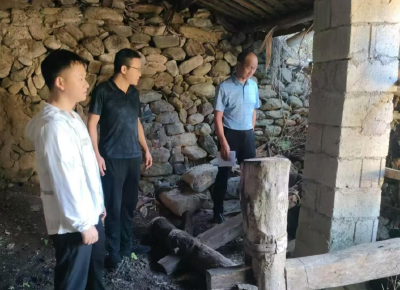 野人谷镇：文物保护显成效  多方合力共绘文化新画卷