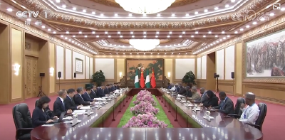 习近平同尼日利亚总统提努布会谈