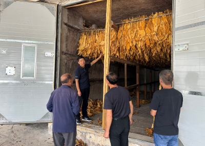 房县野人谷镇：产业兴旺引领乡村振兴新征途 