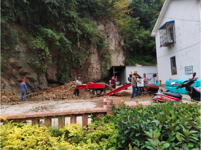 姚坪乡： 秸秆不要烧  青储是好料