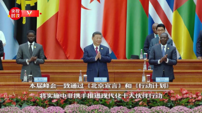 镜观·回响丨“铁杆朋友”的温暖相册 