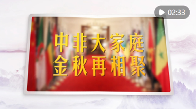 视频画报｜中非大家庭 金秋再相聚