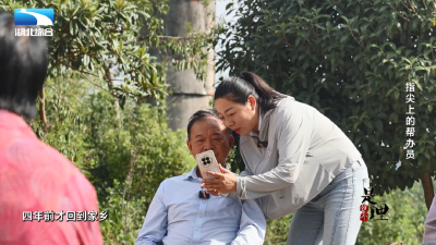 《是这个理》：指尖上的办事员