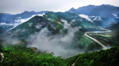 房县推进数智化病理服务体系建设 104项医学检查检验结果实现互认