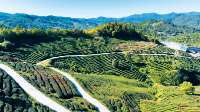 传承抗美援朝精神 点亮少年爱国之光——窑淮学校开展抗美援朝纪念日主题活动