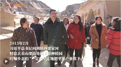 “红苹果”正变成“金苹果”
