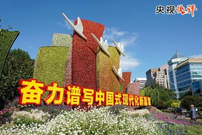 爱拼会赢，做中国式现代化的促进者