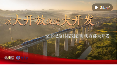 学习原声｜以大开放促进大开发——总书记这样谋划新时代西部大开发