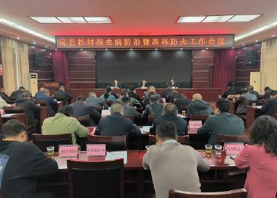 房县安排部署松材线虫病防治暨森林防火工作