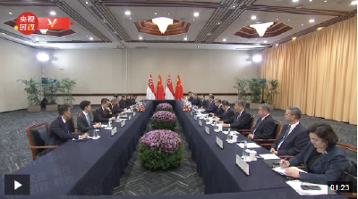 独家视频丨习近平会见新加坡总理黄循财