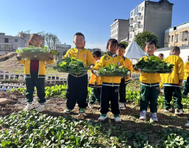 红塔镇中心幼儿园：快乐采摘  收获满满