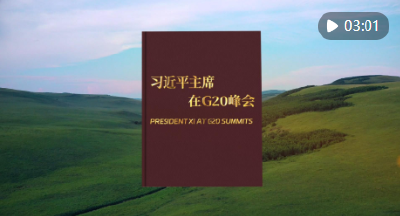 视频画报｜习近平主席在G20峰会