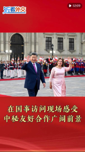 【讲习所·众行致远】中秘何以成为三“不同”国家团结合作的典范？-国际在线