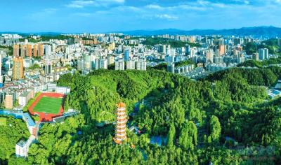 房县数据局：即时满足需求 服务“两个健康”