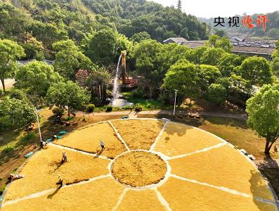 牢记为农服务宗旨 助力乡村全面振兴——习近平总书记重要指示激励全国供销合作社系统和“三农”工作者在农业强国建设中再立新功
