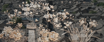 学习新语｜古城老街 文脉绵长