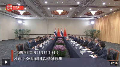 独家视频丨习近平会见泰国总理佩通坦