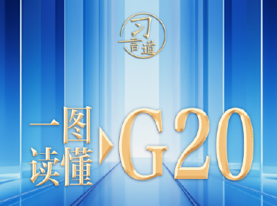 【众行致远】习言道｜一图读懂：G20有哪些国家？有何特点？