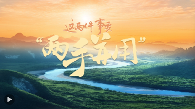 一见·“这两件事要‘两手并用’”