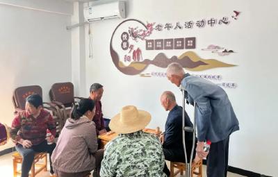 万峪河乡：敲门送政策 暖心问养老