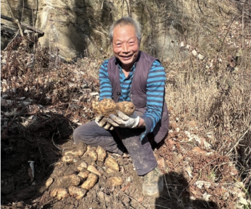 天麻丰收奏响“振兴曲”，特色产业铺就“致富路”