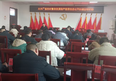 大木厂镇财政所：清产核资启新航  真抓实干保质效