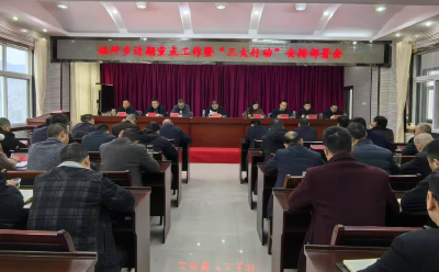 姚坪乡：“三强化三提升”确保“三大行动”落地见效