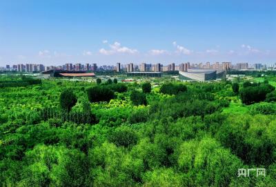 正在抢摘！宜昌，一“泡”走红