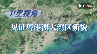 循着总书记关切，见证粤港澳大湾区新貌