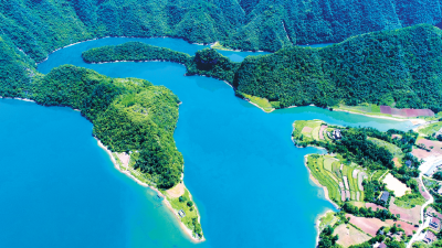 我县税务部门提示： 群众可以多种途径交纳社保费