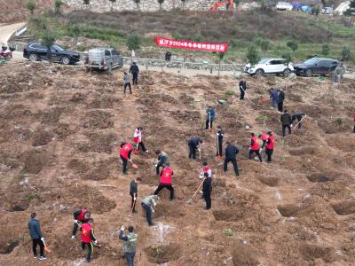 姚坪乡：开展2024年冬季植树活动