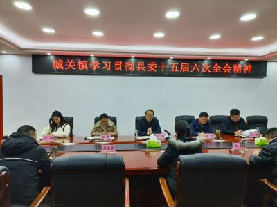 城关镇：学习全会精神  凝聚奋进力量