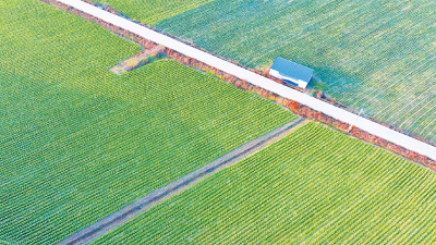 建好“菜篮子” 鼓起“钱袋子”
